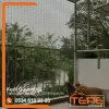 Kedi Güvenliği 